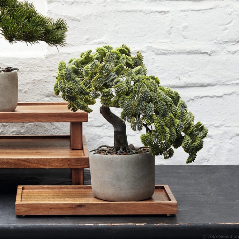 ASA Selection Bonsai Plant Cypress/아사 셀렉션 상록수 인조화분