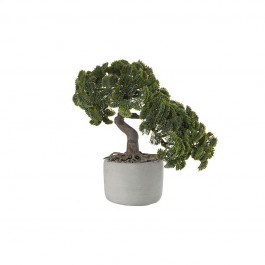 ASA Selection Bonsai Plant Cypress/아사 셀렉션 상록수 인조화분