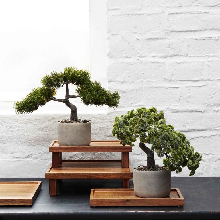 ASA Selection Bonsai Plant Pine/아사 셀렉션 소나무 인조화분